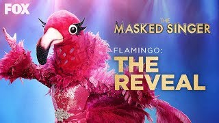 The Flamingo Is Revealed As Adrienne Bailon  Season 2 Ep 13  THE MASKED SINGER [upl. by Dupre]