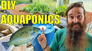 Starting an Aquaponics System  How to Start amp What You Need [upl. by Bertero]