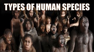 14 Different Types of Human Species  Explained [upl. by Peursem]