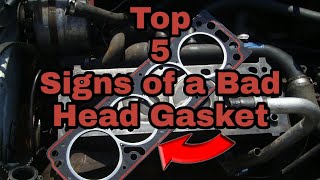 Top 5 Signs Of A BAD HEAD GASKET [upl. by Olpe]