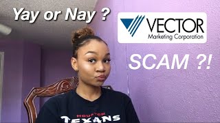 VECTOR MARKETING  CUTCO A SCAM [upl. by Chelsy]