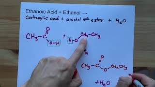 Ethanoic Acid  Ethanol   Ester Reaction [upl. by Cofsky]