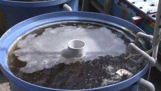 Purdue Aquaponics Cut Water Usage [upl. by Materi567]