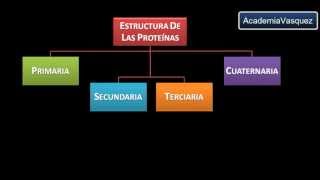 Estructura y Organización de las Proteínas [upl. by Arrik]