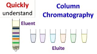 Column chromatography [upl. by Hanala439]