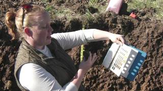 Soil Profiling Color [upl. by Casta206]