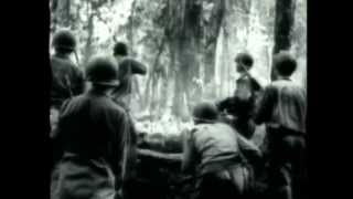 Operation Cherry Blossom  The Bougainville Campaign  WWII Pacific Theater [upl. by Nylrehc667]