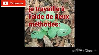 Comment faire du terreau a semis [upl. by Ynamreg888]