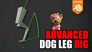 Advanced Dog leg rig in Blender [upl. by Resor]