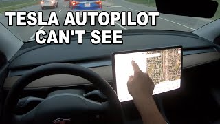 Tesla Autopilot Not Working [upl. by Reibaj]