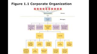 Finance Chapter 1 [upl. by Silrak]