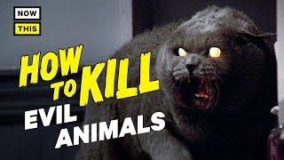 How to Kill Evil Animals  NowThis Nerd [upl. by Auhsot229]