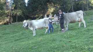 Arbeiten auf der Alm – Almhütten in Tirol Österreich 🐮 [upl. by Stoneman]