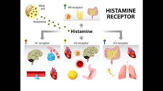 Managing histamine intolerance [upl. by Iveson350]