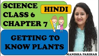 Getting to know plants Class 6 Science chapter 7 in Hindi [upl. by Yerahcaz]