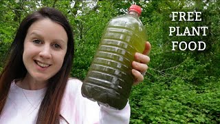 How To Make Nettle Fertiliser Fertilizer  Stinging Nettle Plant Food [upl. by Gad738]