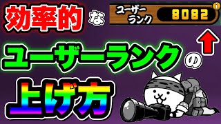 【にゃんこ大戦争】効率的なユーザーランクの上げ方！これをすればすぐにユーザーランクを上げることができる⁉︎ [upl. by Nowell]