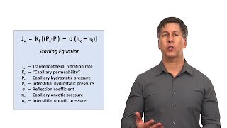 An Approach to Peripheral Edema [upl. by Kier]