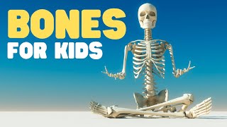 Bones for Kids  Learn about the Skeletal System for Kids [upl. by Suisyola279]