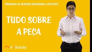 Mandado de Injunção Individual e Coletivo  Tudo sobre a Peça [upl. by Eidnalem249]