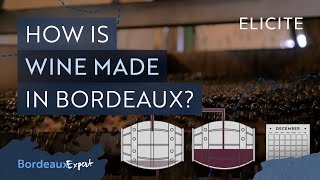 Red Winemaking in Bordeaux Explained [upl. by Gove948]