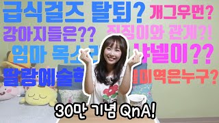 30만 구독자 기념 QnA [upl. by Dam]