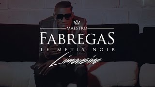 Fabregas Le Metis Noir présente Ibrator  Limousine [upl. by Naneik657]