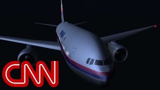 Was MH370 a quotghost planequot [upl. by Absa]