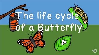 The Life Cycle of a Butterfly [upl. by Ardnuyek]