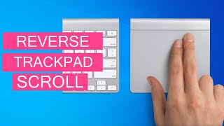 How To Reverse Touchpad Scrolling In Windows 1011 Bootcamp OS [upl. by Earle]