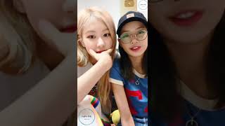 ChaeLisa What are you upto Blink Vlive  Blackpink VLiveLive  Eng Sub [upl. by Bronwyn]