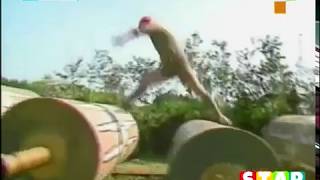 Takeshis Castle  Hindi   Javed Jaffrey  Takeshis Castle  SUBSCRIBE [upl. by Bonnell83]