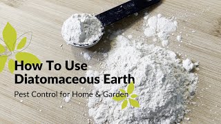 How To Use Diatomaceous Earth  Home amp Garden Pest Control [upl. by Chirlin]