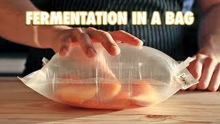 The Easiest Way To Ferment Any Fruit LactoFermentation [upl. by Hathcock]