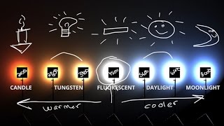 White Balance amp Kelvin Color temp explained 💡 [upl. by Milore]