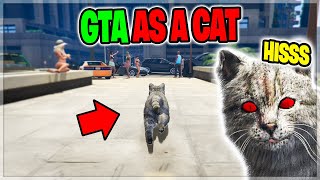 KILLER CAT Takes Over Entire City on GTA 5 RP [upl. by Animar11]