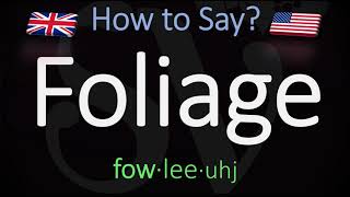 How to Pronounce Foliage CORRECTLY Meaning amp Pronunciation [upl. by Eyla]