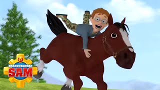 Brandweerman Sam  Wilde Paarden Rennen  Nieuwe Afleveringen  Kinderfilms [upl. by Sirod688]