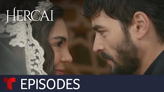 Hercai Amor y venganza  Episode 3  Telemundo English [upl. by Doloritas697]