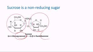 Nonreducing Sugars [upl. by Yelknirb479]