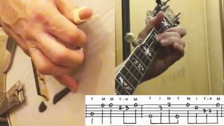 Dueling Banjos How I play it on 5string Bluegrass Banjo [upl. by Eniotna]