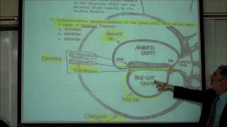 INTRO TO HUMAN EMBRYOLOGY PART 1 by Professor Fink [upl. by Aurelia]