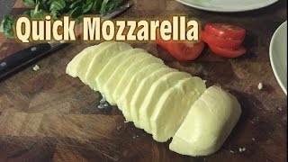 Making Quick Mozzarella at home [upl. by Kcirddor]