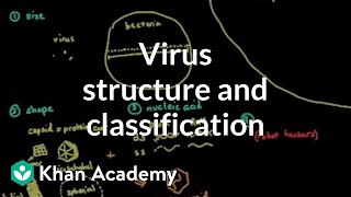 Virus structure and classification  Cells  MCAT  Khan Academy [upl. by Hanako]