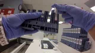 Behind the scenes What happens to a blood sample [upl. by Lramaj]