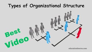 Types of Organizational Structure in management [upl. by Dessma]