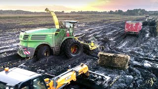 FORAGE HARVESTER in the MUD  2020 Corn Silage in France  Short History [upl. by Asiral658]