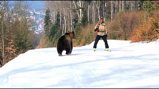 Skiing with the bear on the slope  9 Martie 2021 Partia Cocosul Predeal Romania by Mister Fox [upl. by Larentia]