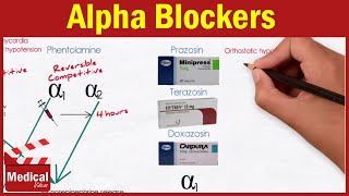 Pharmacology ANS 17 Alpha Blockers  Prazosin Terazosin Doxazosin Tamsulosin and Alfuzosin [upl. by Nailuj308]