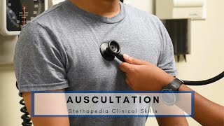 Basic Auscultation Technique  Stethopedia [upl. by Amethist861]